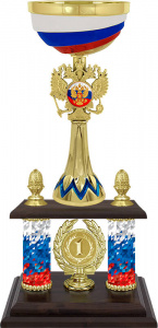 6100-390-101 Кубок Влад 1 место