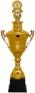 Кубок HB 9122 C (H-73 см, D-200 мм)